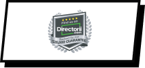 Directorii - Logo