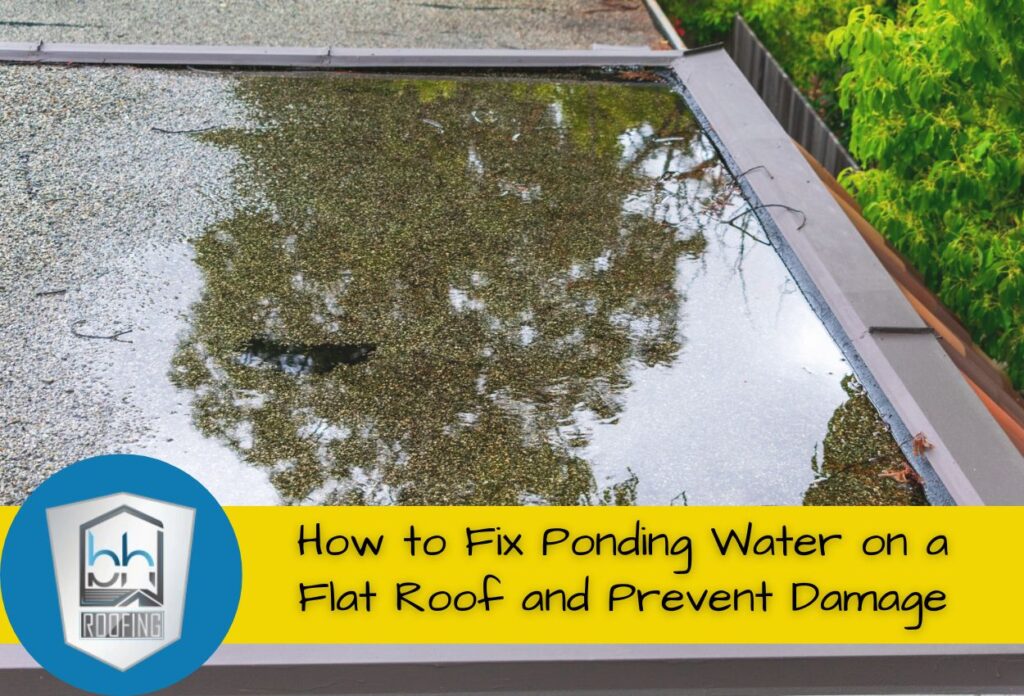 How to Fix Ponding Water on a Flat Roof and Prevent Damage